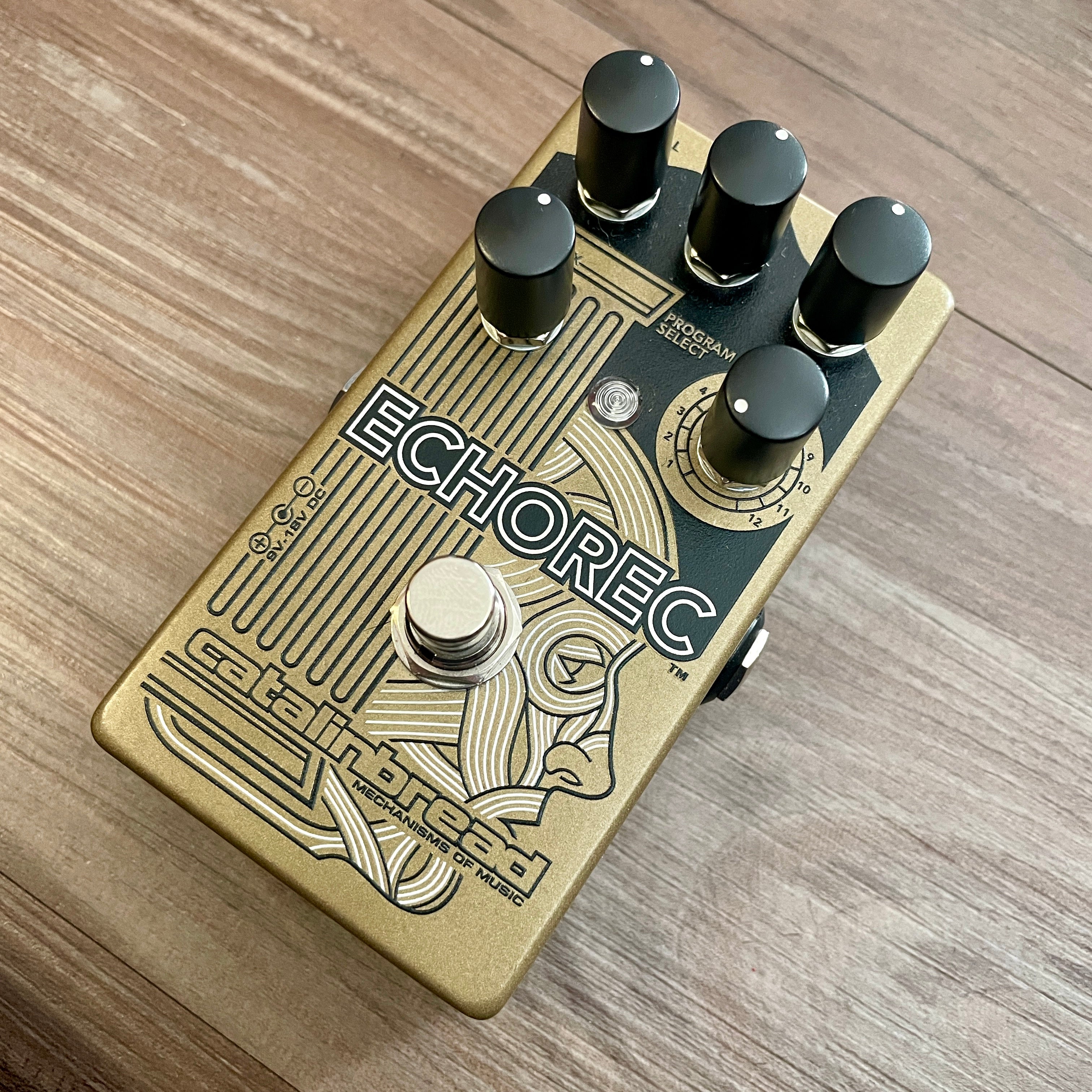 Catalinbread Echorec Delay