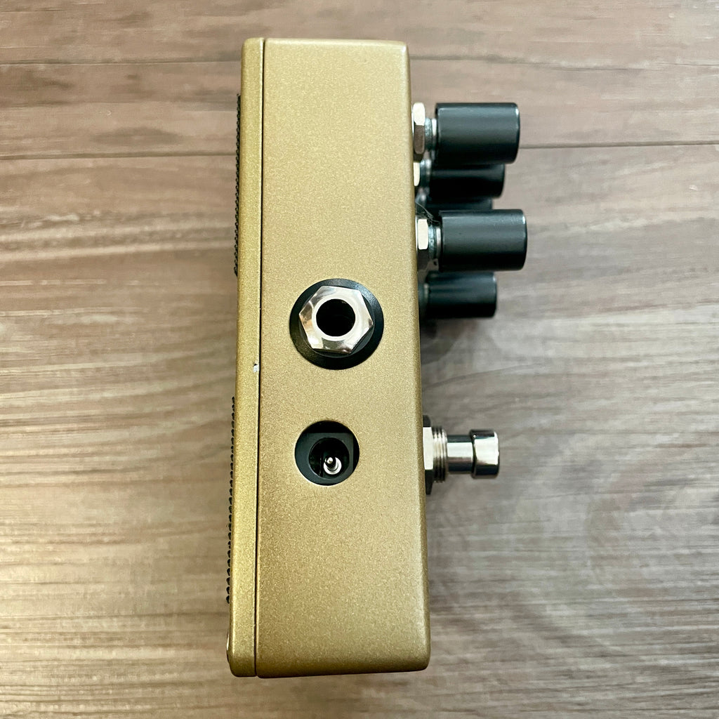 Catalinbread Echorec Delay