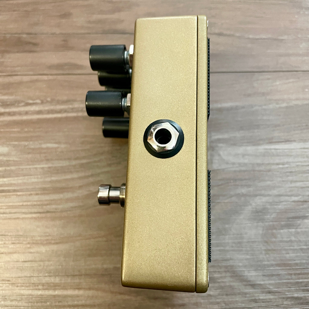 Catalinbread Echorec Delay