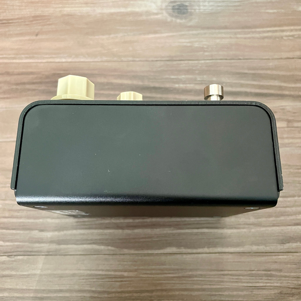 Strymon Flint v2
